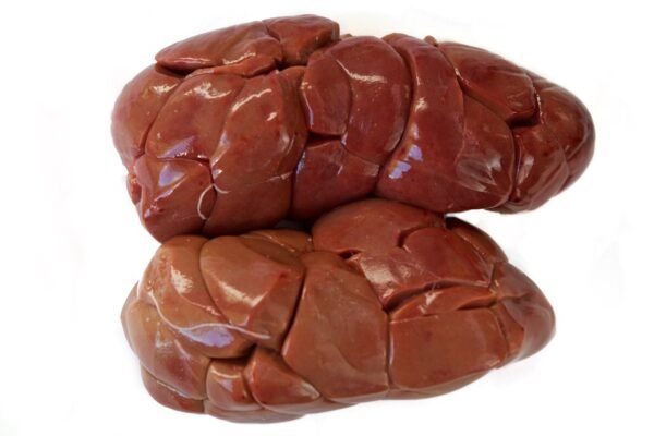 Beef kidney