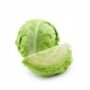 fresh cabbage