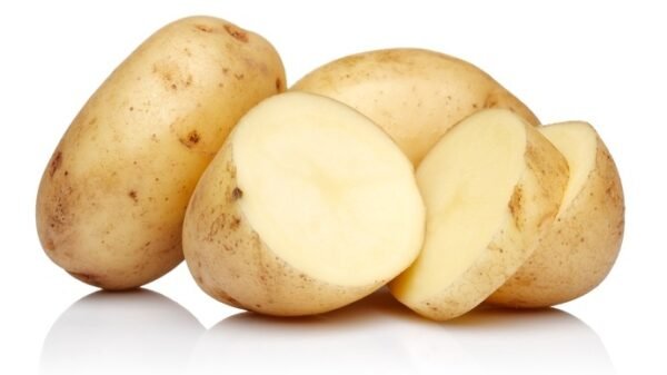 fresh potato