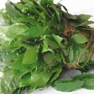 Fresh okazi leaves(eru-nkok frais)8oz