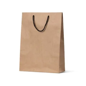 Shopping bag