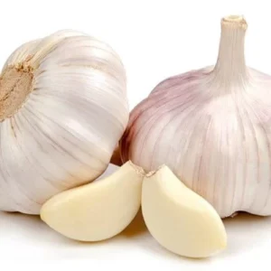 fresh garlic