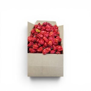 Habanero pepper