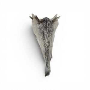 Sea star salted cold split fish
