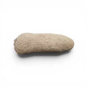 ghana yam